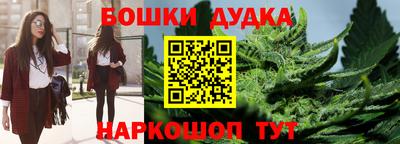 бошки Славгород