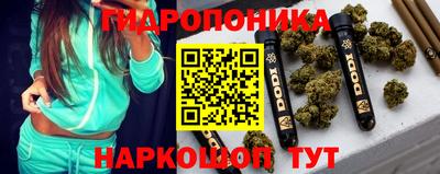 бошки Славгород