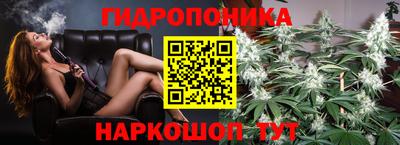 бошки Славгород