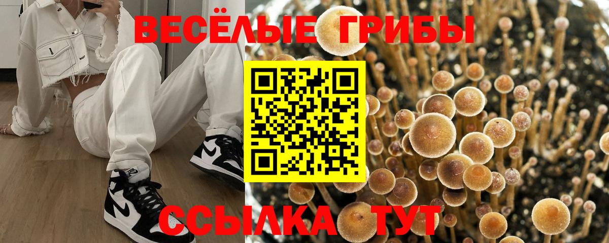 Галлюциногенные грибы Psilocybine cubensis  Вход с VPN  Пыть-Ях 
